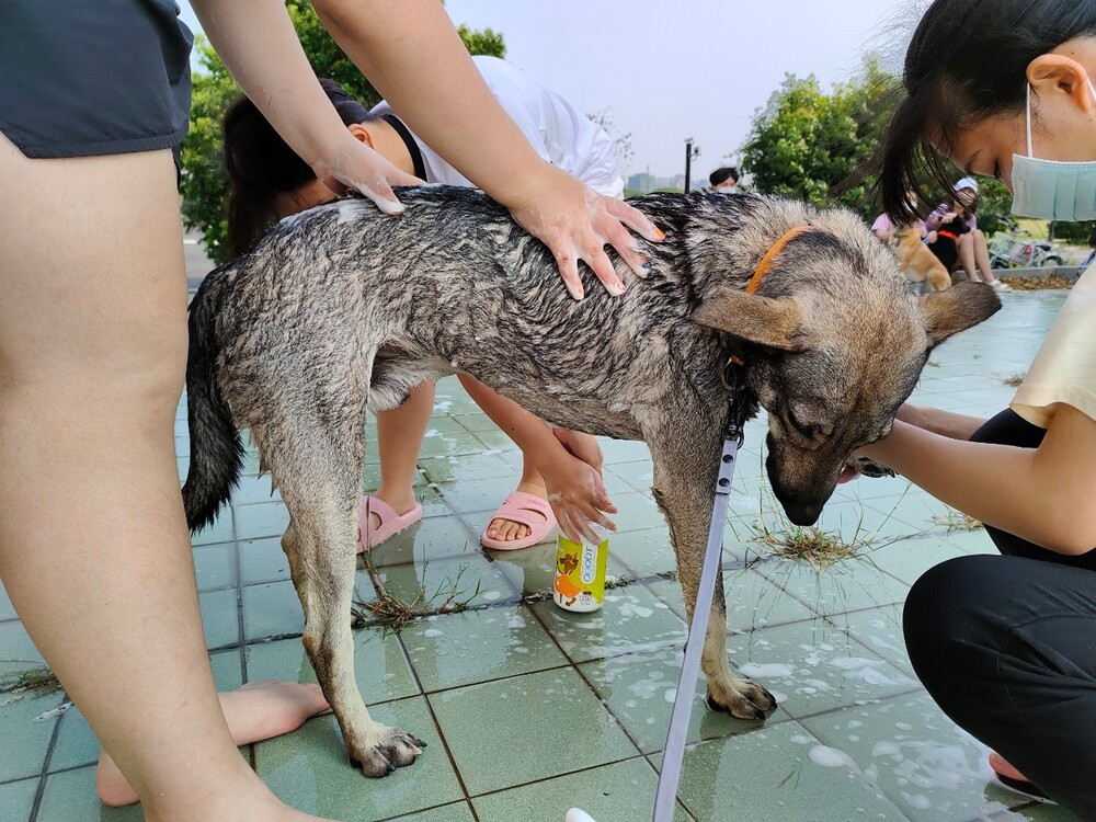 圖片說明