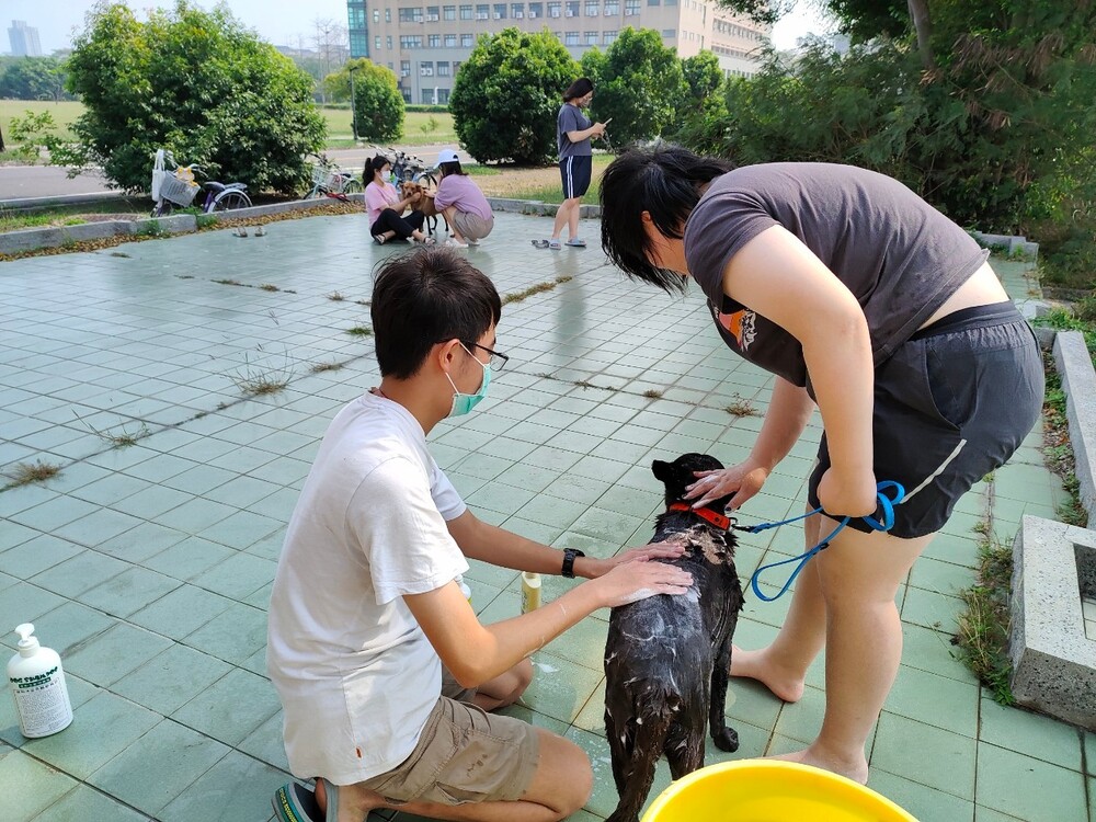 圖片說明
