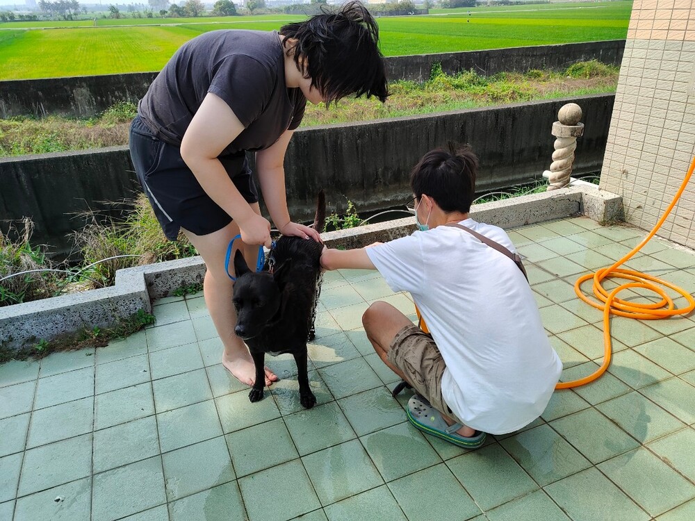 圖片說明