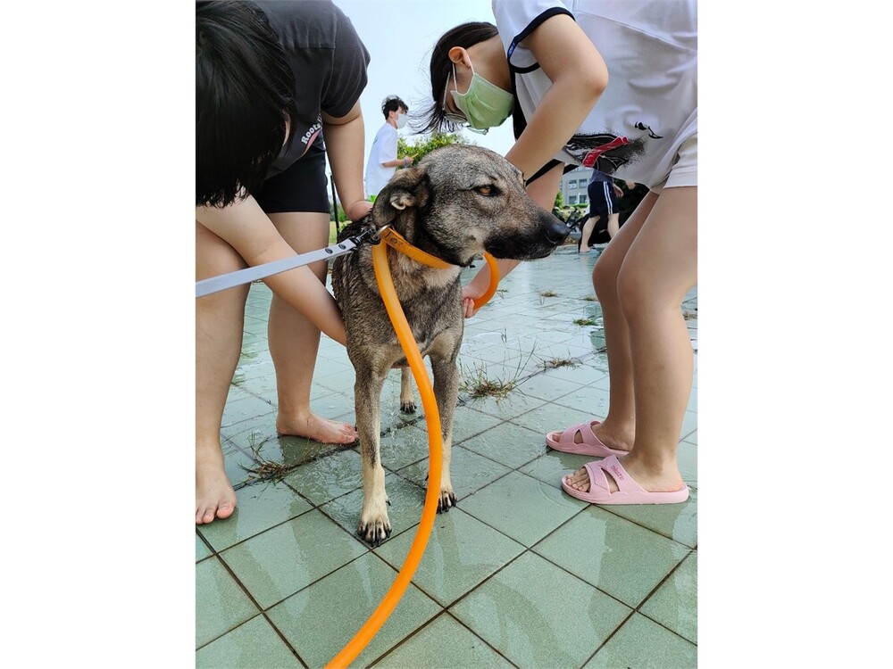 圖片說明