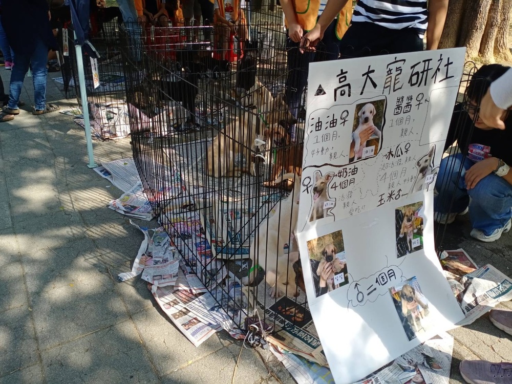 圖片說明