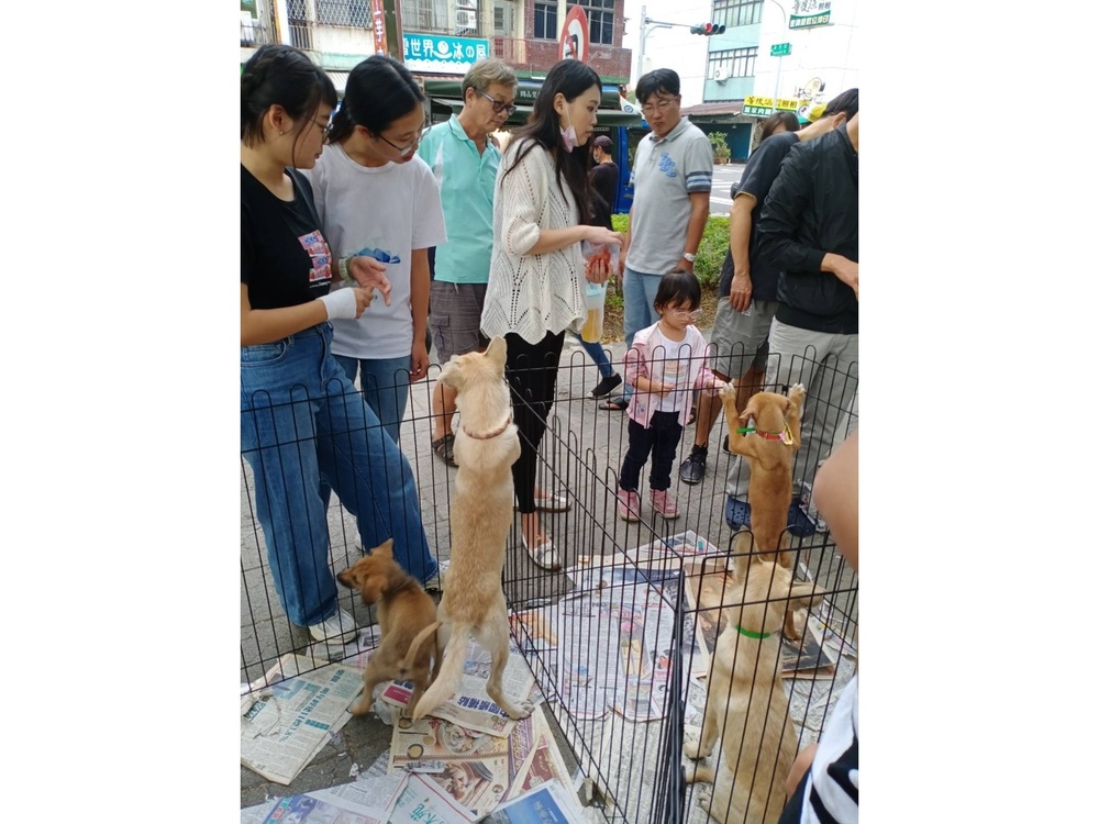 圖片說明