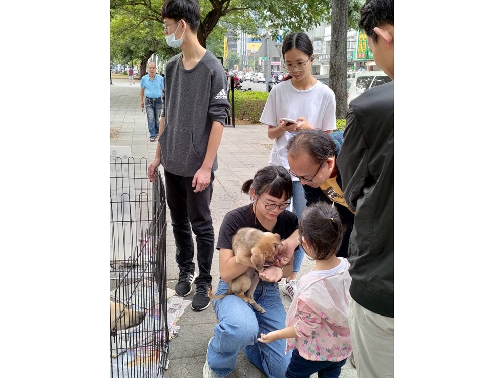 圖片說明