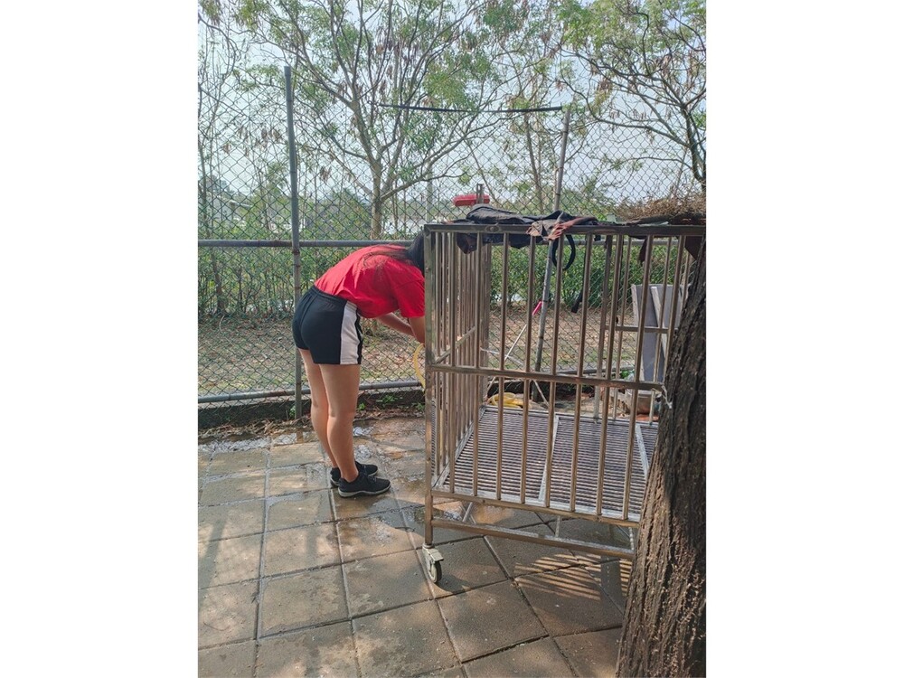 圖片說明