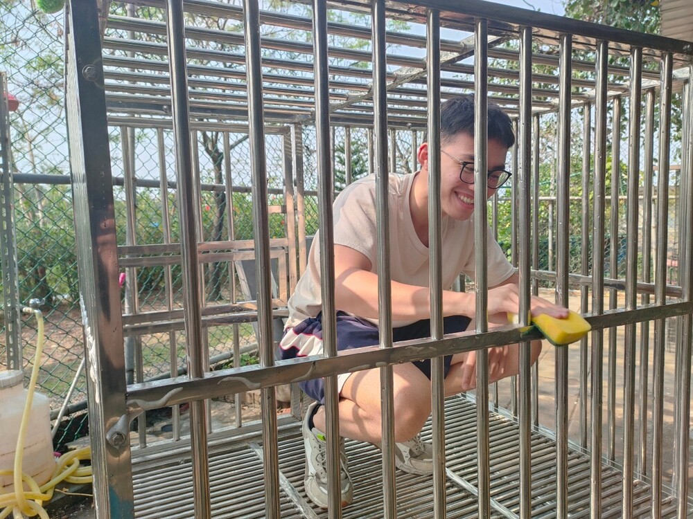 圖片說明