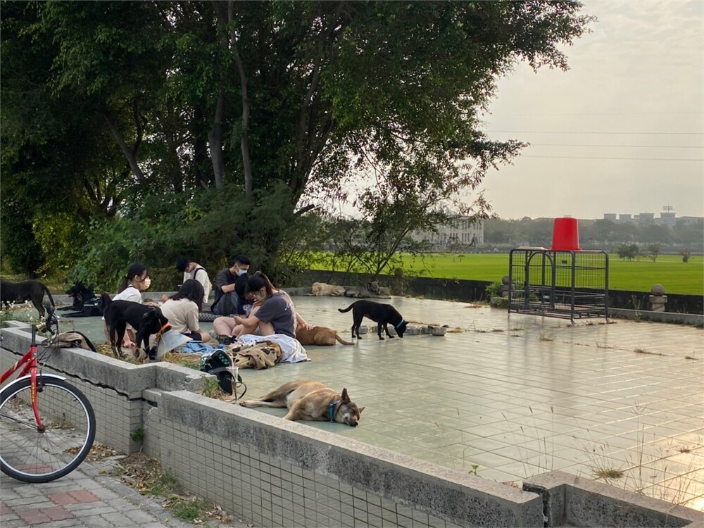 圖片說明