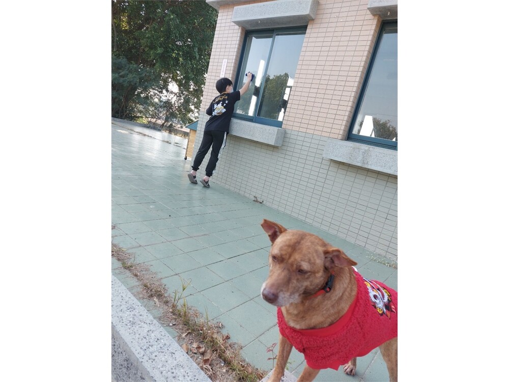 圖片說明