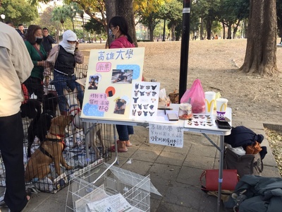勞工公園毛孩送養會-2021/1/17圖片