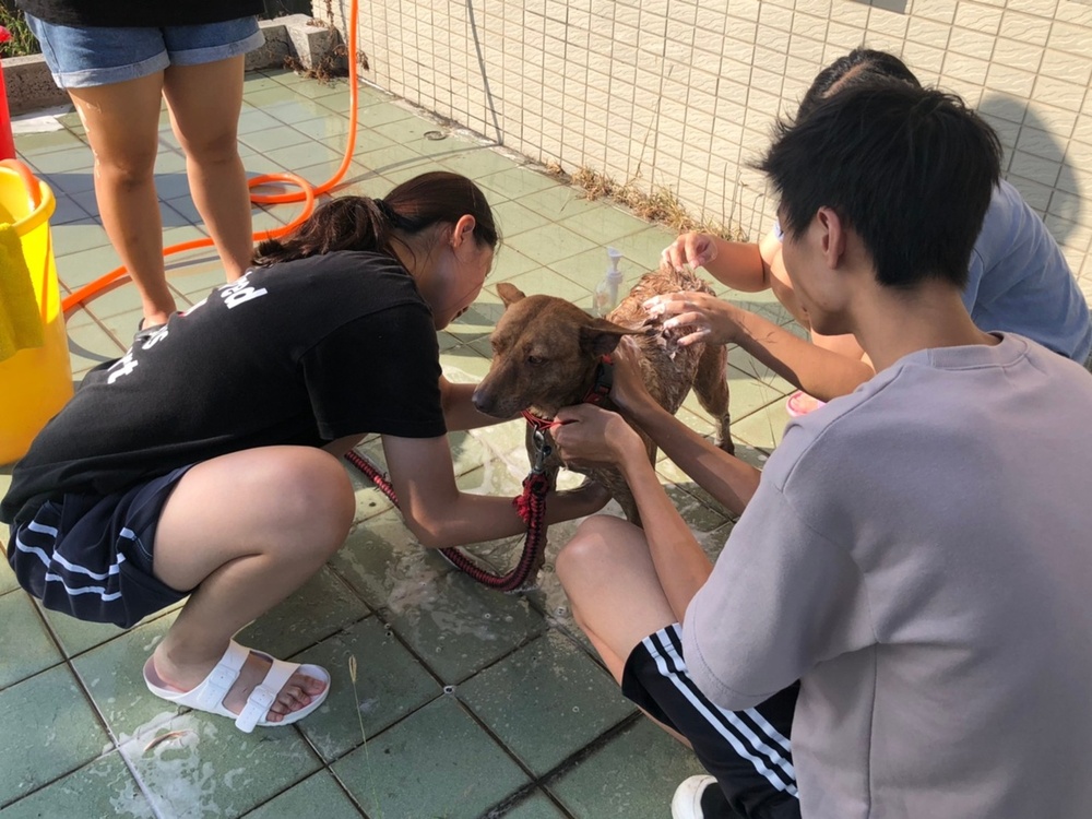 圖片說明