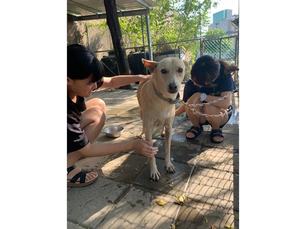圖片說明