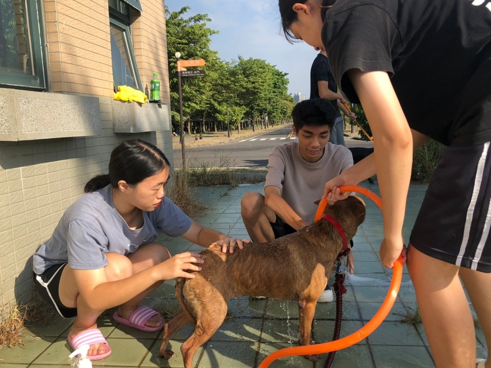 圖片說明