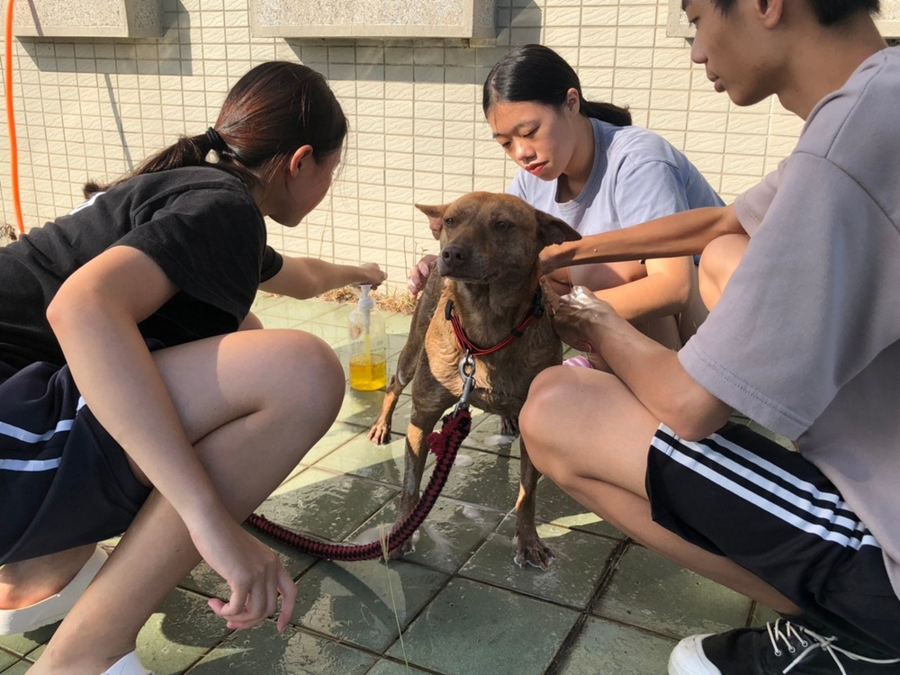 圖片說明