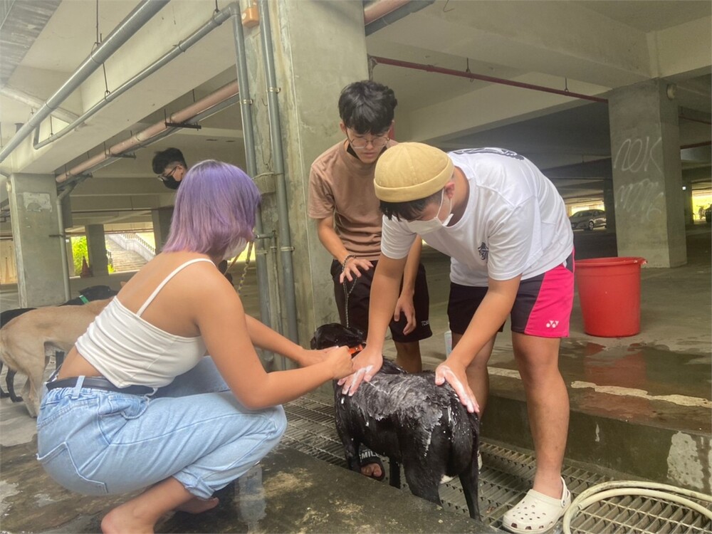 圖片說明