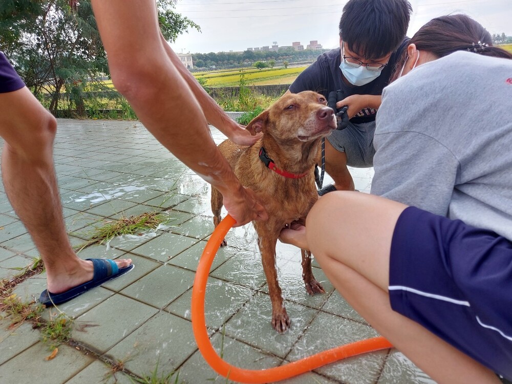 圖片說明