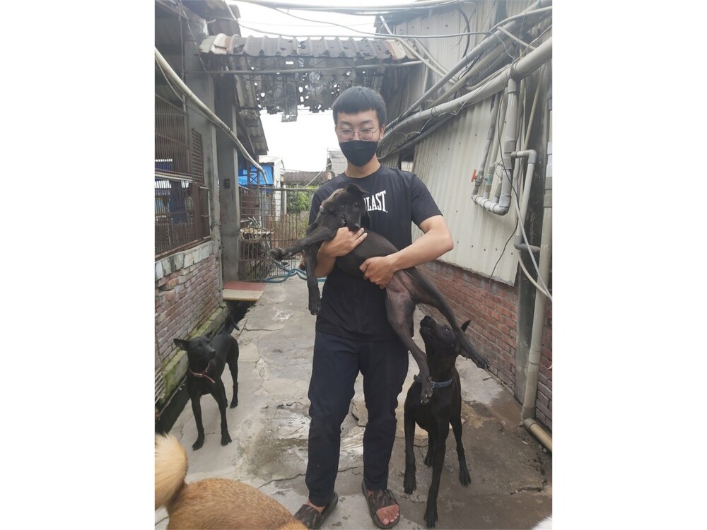 圖片說明