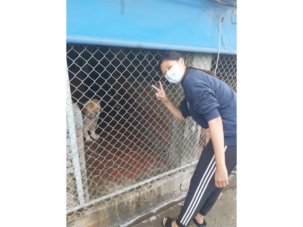 圖片說明