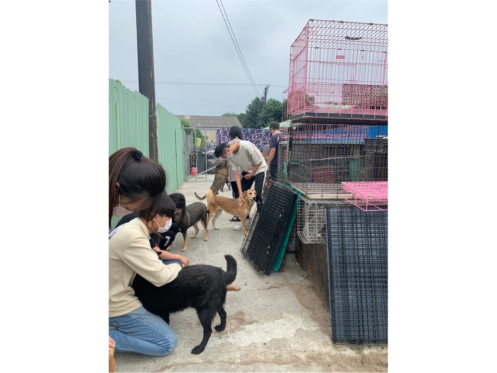 圖片說明