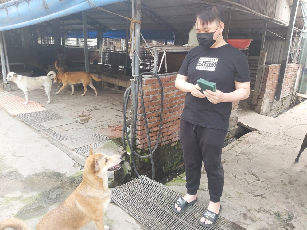 圖片說明
