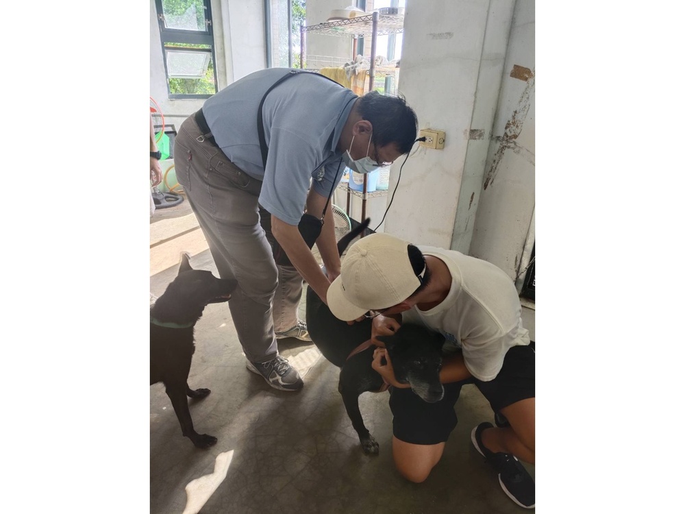 圖片說明