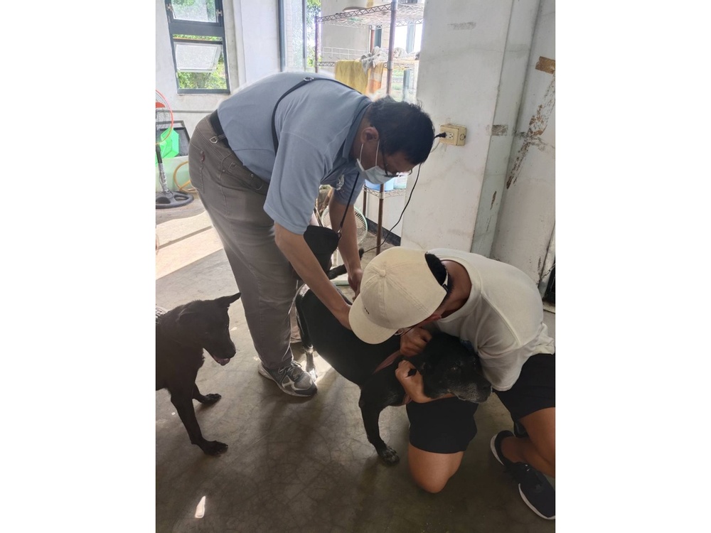 圖片說明