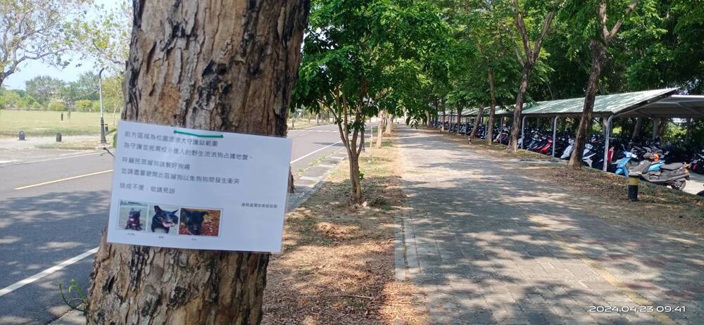 圖片說明