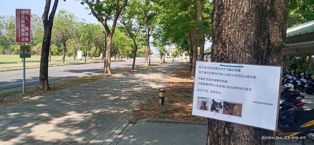 圖片說明