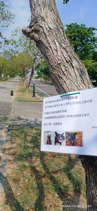 圖片說明